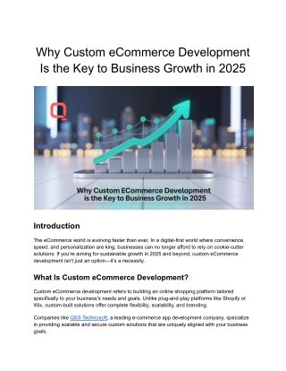 Why Custom eCommerce Development Is the Key to Business Growth in 2025