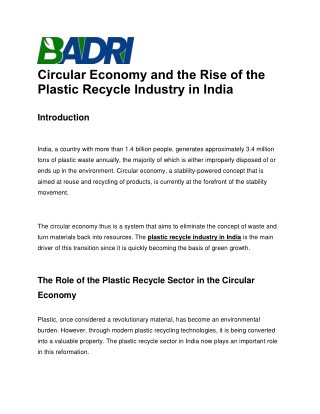 Circular Economy and the Rise of the Plastic Recycle Industry in India
