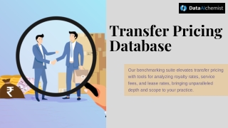 Transfer Pricing Mastery with DataAlchemist