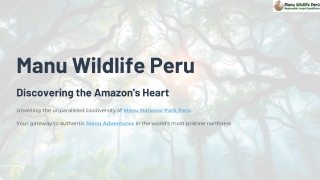 Manu National Park Peru – Wildlife Tours with Local Jungle Experts