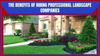 Professional Landscape Service Company