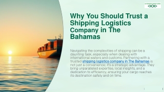 Why You Should Trust a Shipping Logistics Company in The Bahamas