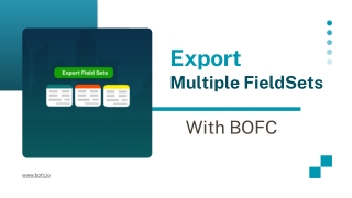 Export Multiple FieldSets in a Few Clicks with BOFC
