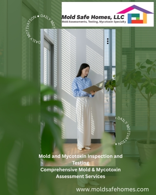 Residential Mold Checkup in Florida – Certified Inspections by Mold Safe Homes