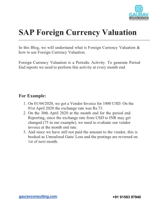 SAP Foreign Currency Valuation (2)
