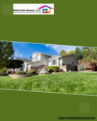 Residential Mold Checkup in Florida – Certified Inspections by Mold Safe Homes