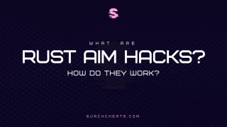 What Are Rust Aim Hacks and How Do They Work