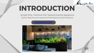 Premium Fish Tanks & Custom Aquariums