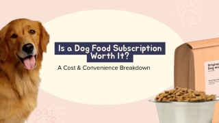 Is a Dog Food Subscription Worth It? A Cost & Convenience Breakdown