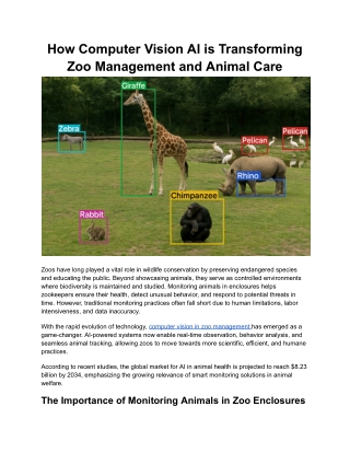 How Computer Vision AI is Transforming Zoo Management and Animal Care
