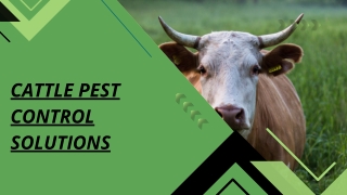 Cattle Pest Control Solutions