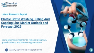 Plastic Bottle Washing, Filling And Capping Line Market, Global Outlook and Forecast 2025-2032