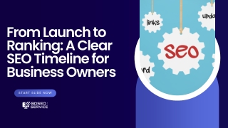 From Launch to Ranking A Clear SEO Timeline for Business Owners