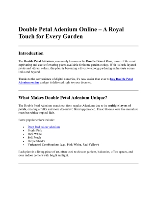 Buy Double Petal Adenium Online for Stunning Blooms!