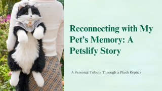 A Comforting Memory Made by Petslify