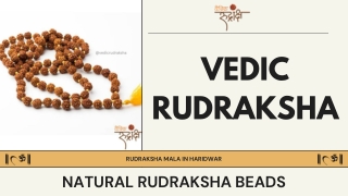 Pure Spiritual Energy with Rudraksha Mala in Haridwar