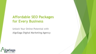 Effective, Reliable and Affordable SEO packages for Every Business