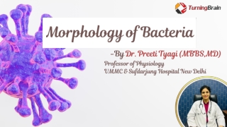 Morphology of Bacteria
