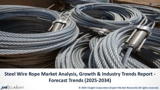 Steel Wire Rope Industry Analysis | Global Market Forecast to 2034