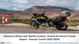 Adventure Motorcycle Market Size, Growth | Insights 2025-2034