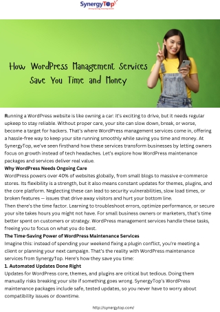 Well founded Website Maintenance Packages by SynergyTop for Seamless Support