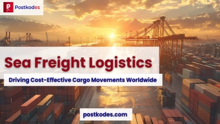 Sea Freight Logistics Driving Cost-Effective Cargo Movements Worldwide