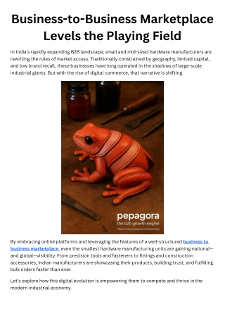 Business-to-Business Marketplace Levels the Playing Field