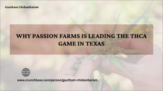 Inside Gautham Chidambaram’s THCA Strategy for Passion Farms in Texas