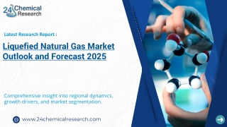 Liquefied Natural Gas Market Supply and Demand Analysis - Global Outlook and Forecast 2024-2030