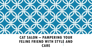 Cat Salon – Pampering Your Feline Friend with Style and Care
