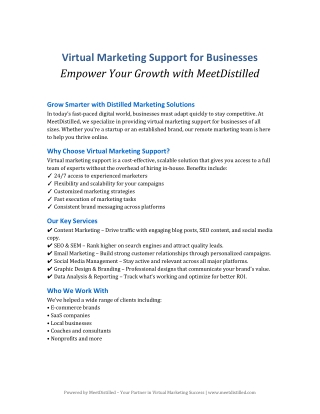 Virtual Marketing Support for Businesses – Empower Your Growth with MeetDistilled