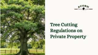Know the Laws Tree Cutting Rules on Private Properties