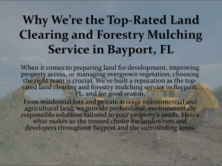 Why We’re the Top-Rated Land Clearing and Forestry