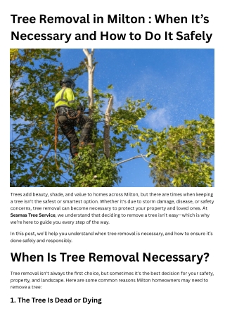 Tree Removal in Milton: When It’s Necessary and How to Do It Safely?