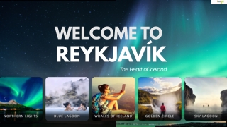 Things to do in Reykjavik - Chase the Northern Lights