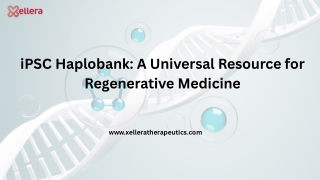 iPSC Haplobank A Universal Resource for Regenerative Medicine