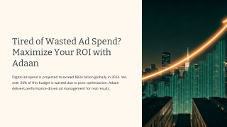 Maximise ROI with Expert Ads Management