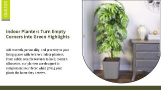 Indoor Planters for Thoughtfully Green Interiors