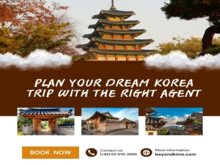 Plan Your Dream Korea Trip with the Right Agent