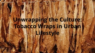 Unwrapping the Culture Tobacco Wraps in Urban Lifestyle