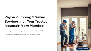 Rayne-Plumbing-and-Sewer-Services-Inc-Your-Trusted-Mountain-View-Plumber