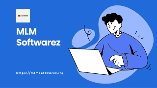 MLM Software Developer in Delhi