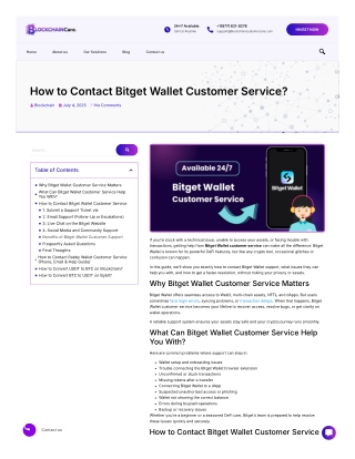 Bitget Support Guide for Wallet Issues