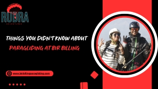 Affordable  Paragliding Experien