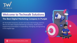 IT Service Provider in Chandigarh | Techwalk Solutions