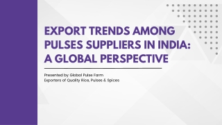 Export Trends Among Pulses Suppliers in India A Global Perspective