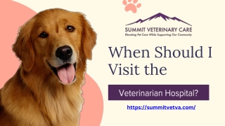 When Should I Visit the Veterinarian Hospital