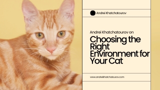 Andrei Khatchatourov Answers: Should Urban Cats Stay Inside or Go Out?