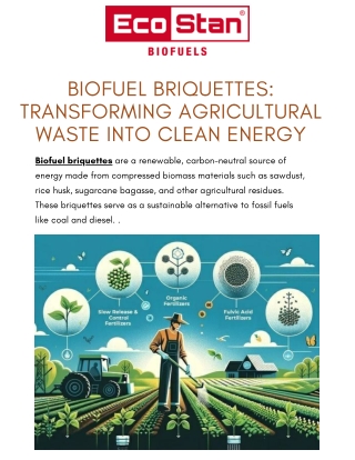 Biofuel Briquettes Transforming Agricultural Waste into Clean Energy