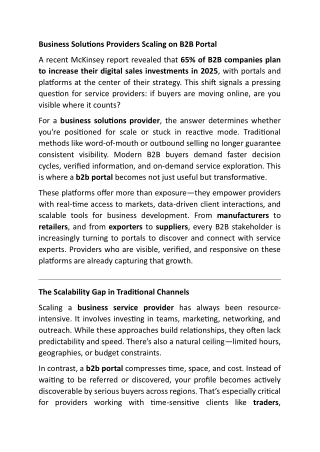 Business Solutions Providers Scaling on B2B Portal